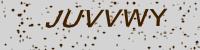 Visual verification